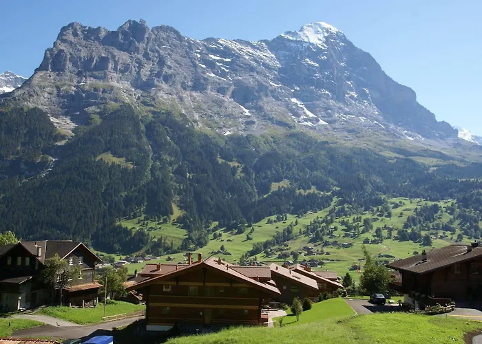 Kiwi Links - Griwa Rent Ag *